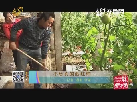 品牌农资龙虎榜：不愁卖的西红柿