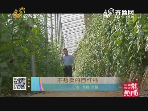 品牌农资龙虎榜：不愁卖的西红柿