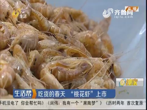 莱州：吃货的春天 “桃花虾”上市