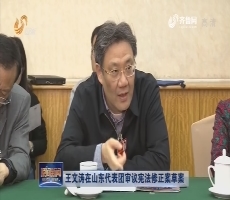 王文涛在山东代表团审议宪法修正案草案