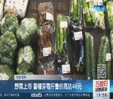 野菜上市 香椿芽每斤售价高达46元