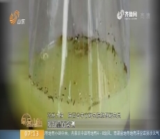 【闪电新闻排行榜】陕西咸阳：考古发现2000多年前秦国古酒