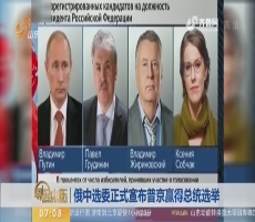 俄中选委正式宣布普京赢得总统选举