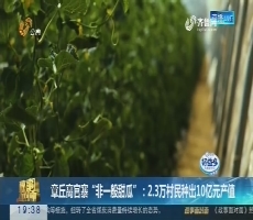 【面对面】章丘高官寨“非一般甜瓜”：2.3万村民种出10亿元产值