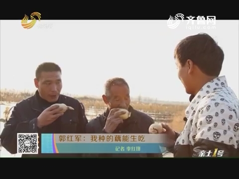 郭红军：我种的藕能生吃