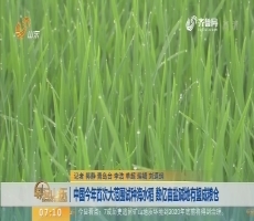 【闪电新闻排行榜】中国2018年首次大范围试种海水稻 数亿亩盐碱地有望成粮仓