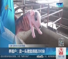 养殖户：卖一头猪就得赔200块