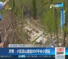 【闪电连线】济南：小区后山建起800平米小菜园