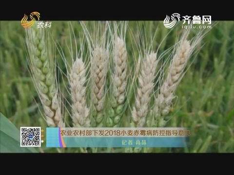 农业农村部下发2018小麦赤霉病防控指导意见