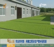 【昨夜今晨】农业农村部：将建立稻谷生产者补贴机制