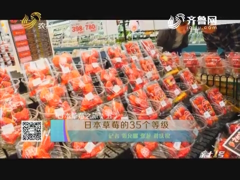 日本草莓之旅（五）：日本草莓的35个等级