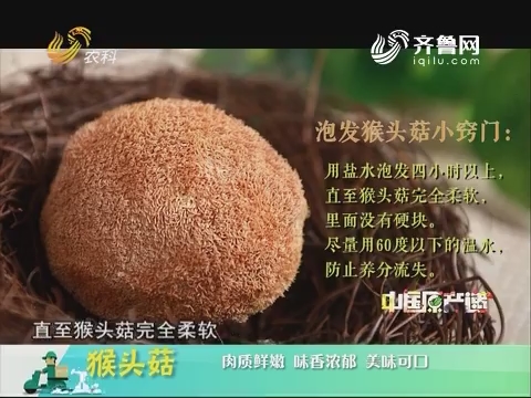 20180428《中国原产递》：猴头菇