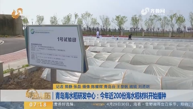 青岛:男子清明酒驾被暂扣驾照 五一假期继续开