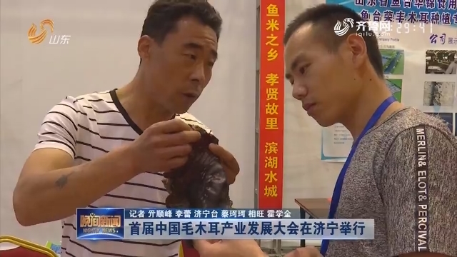 首届中国毛木耳产业发展大会在济宁举行