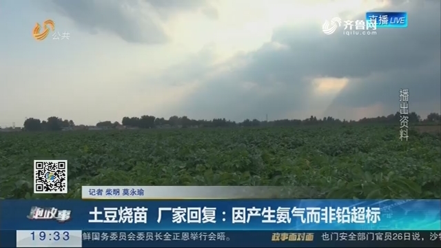 【跑政事】土豆烧苗 厂家回复：因产生氨气而非铅超标