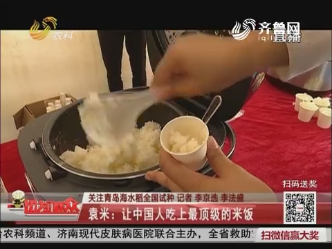 【关注青岛海水稻全国试种】袁米：让中国人吃上最顶级的米饭