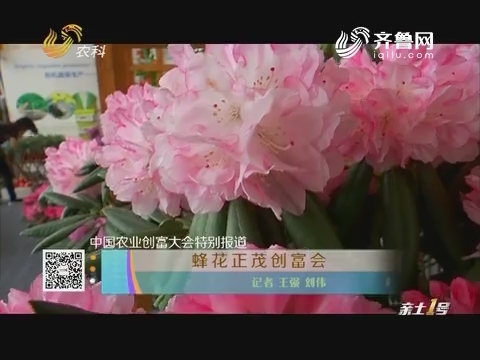 中国农业创富大会特别报道：蜂花正茂创富会
