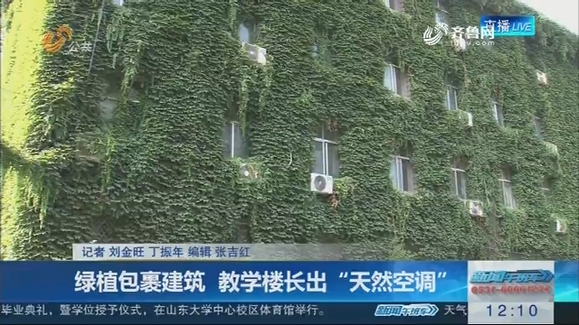 绿植包裹建筑 教学楼长出“天然空调”