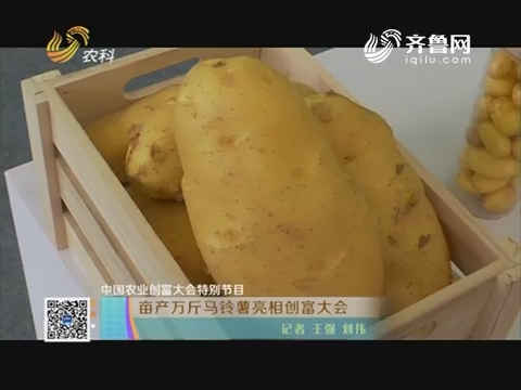 【中国农业创富大会特别节目】亩产万斤马铃薯亮相创富大会