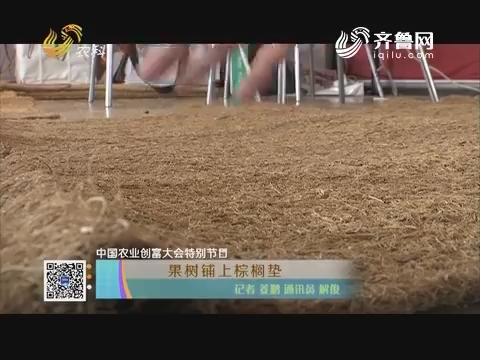 【中国农业创富大会特别节目】果树铺上棕榈垫