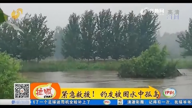 淄博：紧急救援！钓友被困水中孤岛
