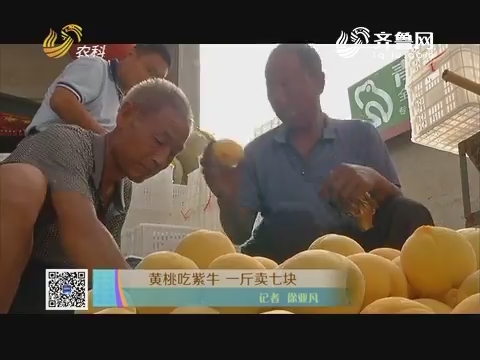黄桃吃紫牛 一斤卖七块