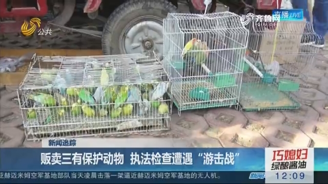 【新闻追踪】贩卖三有保护动物 执法检查遭遇“游击战”