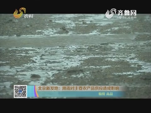 北京新发地：降雨对主要农产品供应造成影响