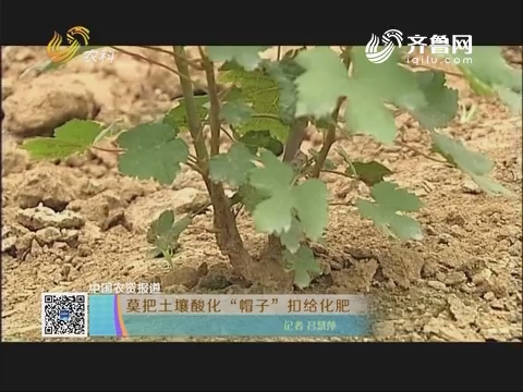 【中国农资报道】莫把土壤酸化“帽子”扣给化肥