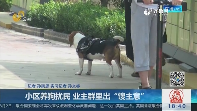 济南：小区养狗扰民 业主群里出“馊主意”