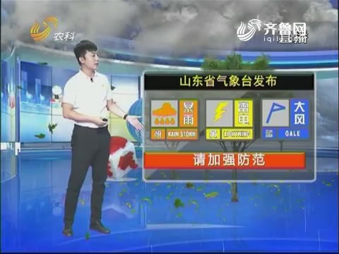 看天气：山东省气象台发布暴雨橙色预警、雷电黄色预警、大风蓝色预警