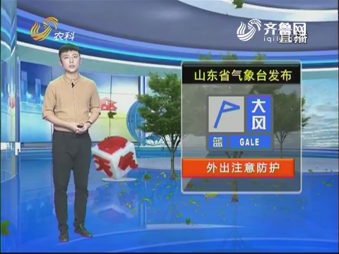 看天气：山东省气象台发布大风蓝色预警