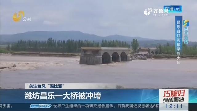 【闪电连线】关注台风“温比亚”  潍坊昌乐一大桥被冲垮
