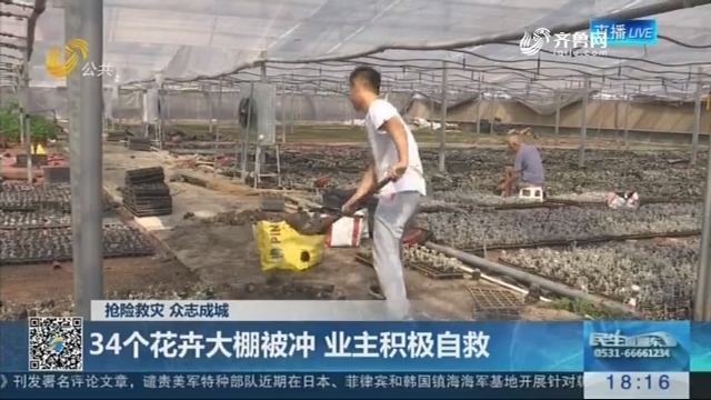 【抢险救灾 众志成城】青州：34个花卉大棚被冲 业主积极自救