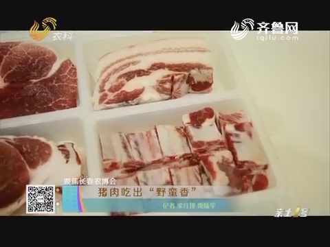 【聚焦长春农博会】猪肉吃出“野蛮香”