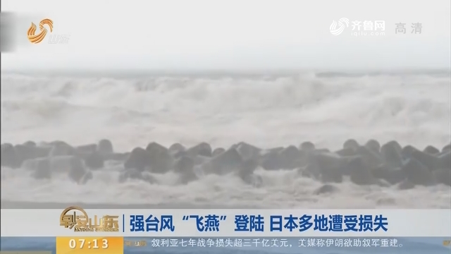 强台风“飞燕”登陆 日本多地遭受损失