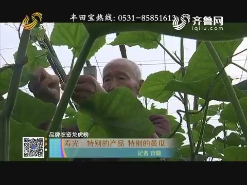 【品牌农资龙虎榜】寿光：特别的产品 特别的黄瓜