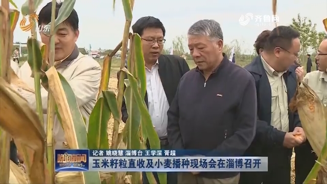 玉米籽粒直收及小麦播种现场会在淄博召开