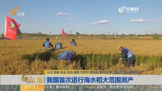 【闪电新闻排行榜】我国首次进行海水稻大范围测产