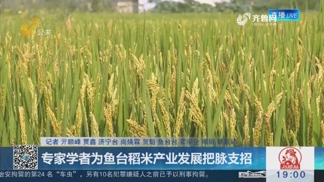 專家學者為魚臺稻米產業發展把脈支招