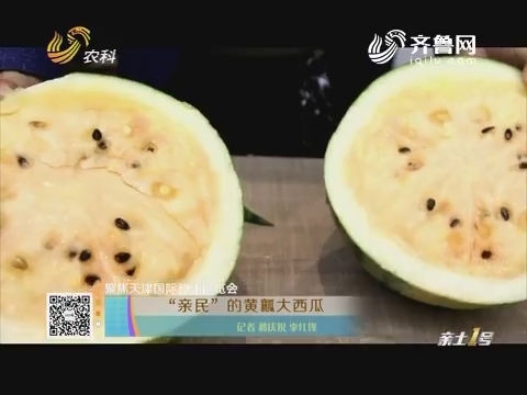 聚焦天津国际种业博览会：“亲民”的黄瓤大西瓜