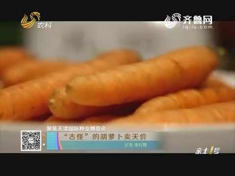 【聚焦天津国际种业博览会】“古怪”的胡萝卜卖天价