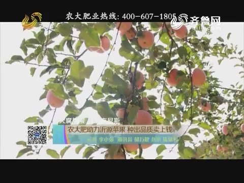 【农大腐植酸 挑战吉尼斯】农大肥助力沂源苹果 种出品质卖上钱