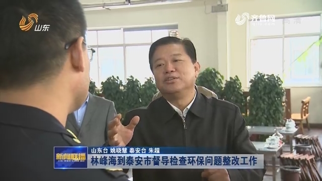 林峰海到泰安市督导检查环保问题整改工作