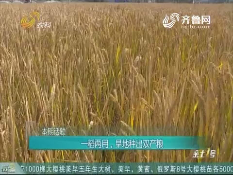 20181125《农科直播间》：一稻两用，旱地种出双产粮