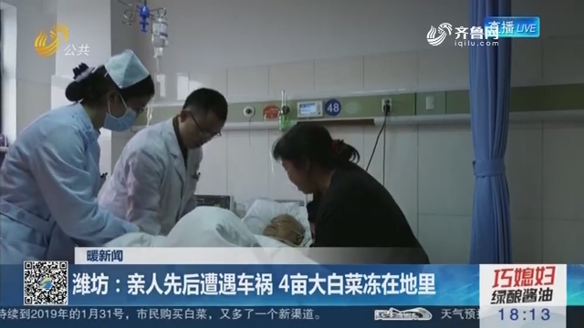 【暖新闻】潍坊：亲人先后遭遇车祸 4亩大白菜冻在地里