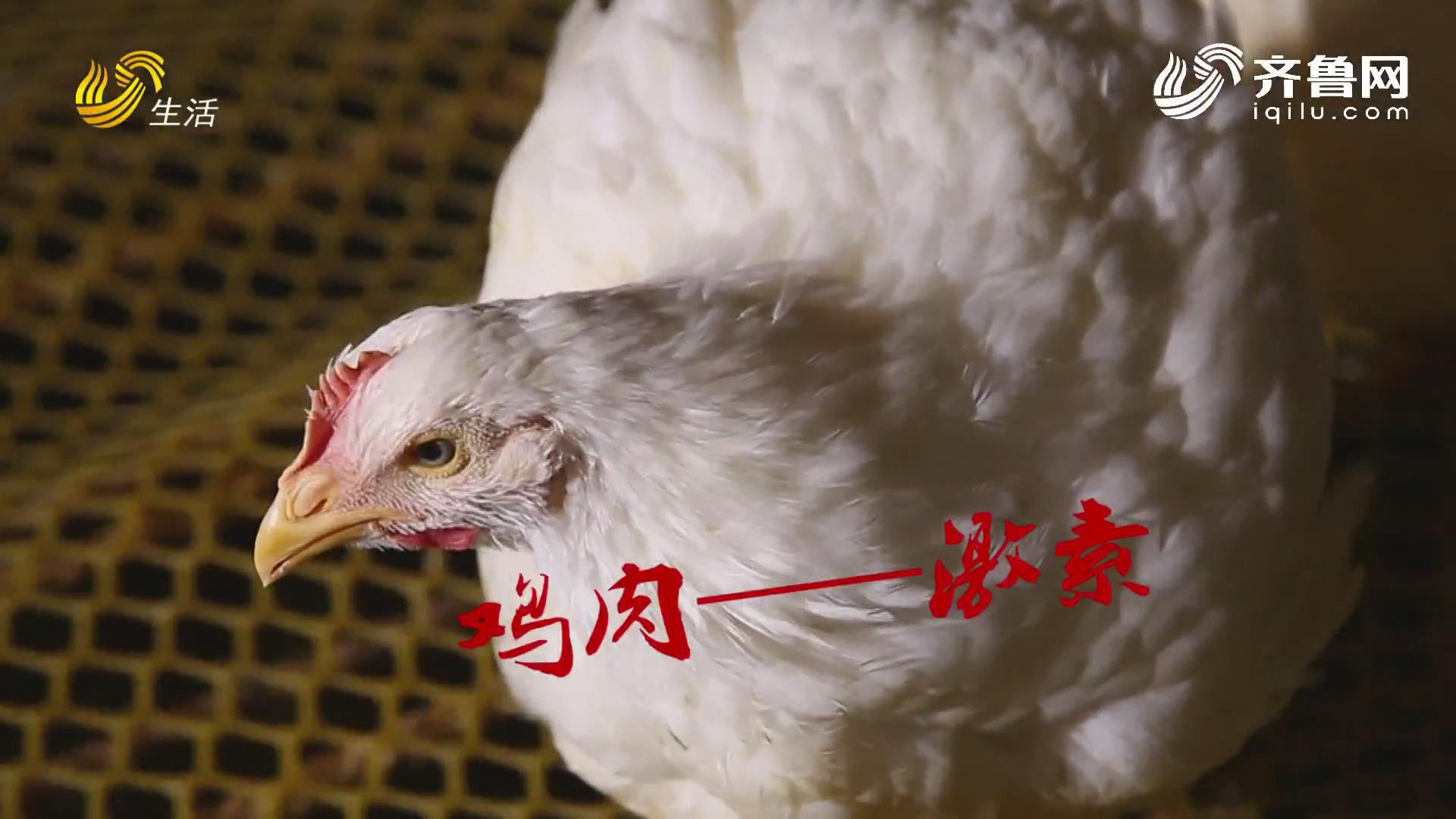 非探不可：正规肉鸡饲料中的激素对人体产生危害吗