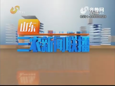 2019年01月07日《山东三农新闻联播》完整版