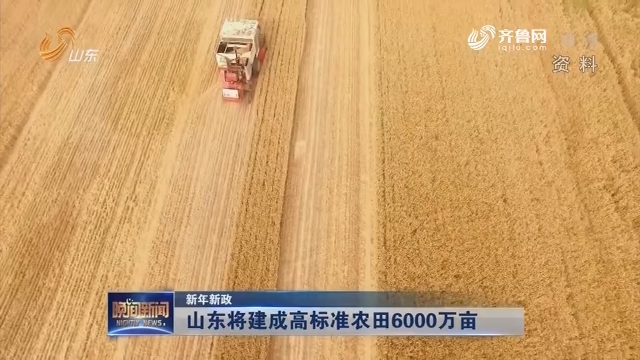 【新年新政】山东将建成高标准农田6000万亩
