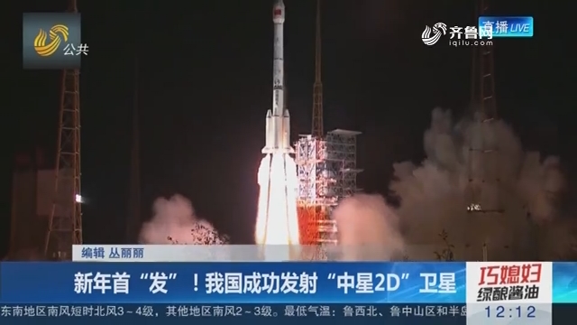 新年首“发”！我国成功发射“中星2D”卫星